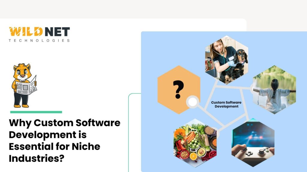 Why Custom Software Development is Essential for Niche Industries?