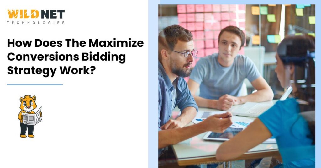 How Does The Maximize Conversions Bidding Strategy Work?